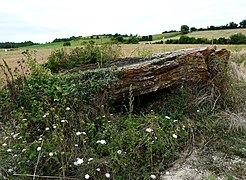 Le dolmen de Laprougès.