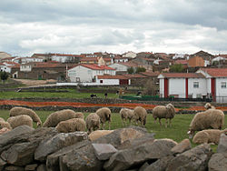 Skyline of Diego del Carpio