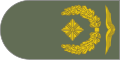 Naramiennik stopnia Brigadegeneral (Luftwaffe).