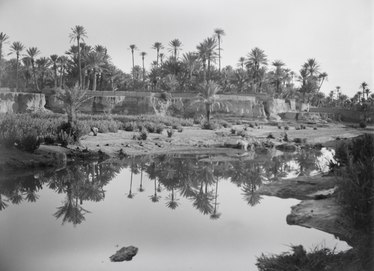 Unidentified oasis in Chad, photographed c. 1930