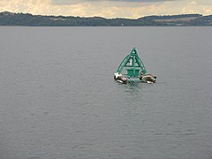 Fairway buoy no. 17 - geograph.org.uk - 3595967.jpg