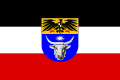 แบบธงสำหรับดินแดนแอฟริกาตะวันตกเฉียงใต้ของเยอรมนี (ไม่มีการใช้)