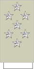 הדרגה בצבא הצרפתי כפי שהיא מוצגת בכותפת (ימין) ועל השרוול (שמאל)