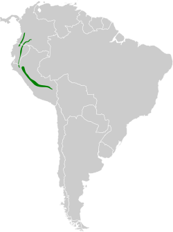 Distribución geográfica del mielerito collarejo.