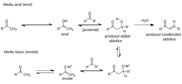 O vedere generală asupra mecanismului reacțiilor aldolice