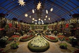 Phipps Conservatory winter 2015 Broderie Room.jpg