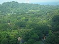 Sentosa (aerial view)