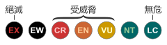 3.1版《IUCN紅色名錄》物種瀕危等級