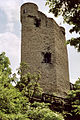 Castell de Laurenburg