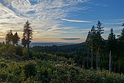 L'Oberharz.