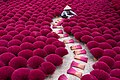 Incense production