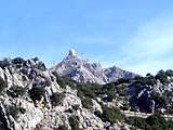 Le Puig Major, sommet le plus haut de l'île.