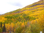 Matanuska Valley, i Alaska