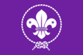 World Organization of the Scout Movement: Vlag