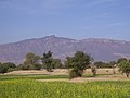 Pothowar plateau, near the Salt range