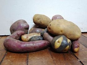 Chilean potatoes