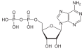 Deutsch: Struktur von Adenosindiphosphat English: Structure of Adenosine diphosphate