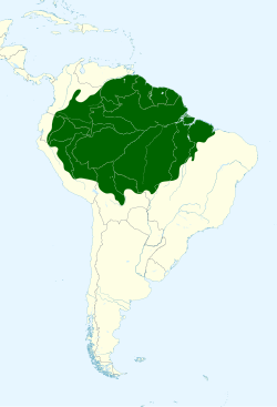 Distribución