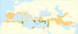 alt=Distribución del ciprés mediterráneo. :     Distribución actual. :     Probable distribución natural. :     Ejemplares naturales aislados.