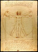 El Hombre de Vitruvio, obra de Leonardo Da Vinci, considerada una de las más perfectas proporciones del varón