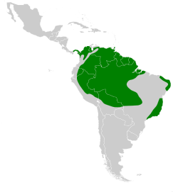 Distribución geográfica del ermitaño hirsuto.