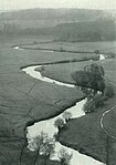 Rieselwiesen unterhalb von Klint bei Fallingbostel (Aufnahme von Richard Linde vor 1921)[6]