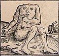 Liber Chronicarum (1493), illustration de Blemmye.