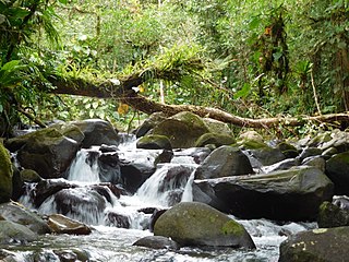 Français : Rivière fr:parc national de la Guadeloupe.