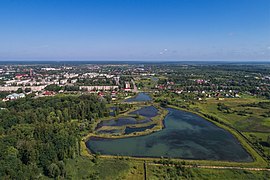 Рельєф Приільменської низовини