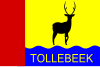 Flag of Tollebeek