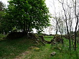 Čeština: Pohled na židovský hřbitov u vsi Olšany v okrese Jindřichův Hradec, Jihočeský kraj. English: View of the Jewish cemetery by the village of Olšany, Jindřichův Hradec District, South Bohemian Region, Czech Republic.