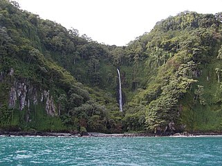 Isla del Coco, Patrimonio de la Humanidad, posee una diversidad biológica única en el mundo.