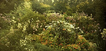 Alfonse Van Besten, Panoramic view of garden at Wommelgem, c. 1910.jpg