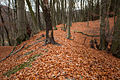 Wall der Hauptburg im Nordosten