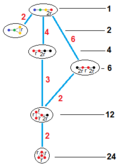 subgroups