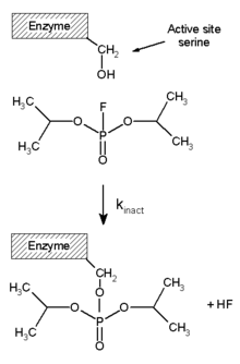 mécanisme d'inhibition du DIFP