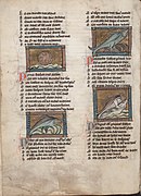 Der naturen bloeme - Jacob van Maerlant - KB KA 16 - 108v.jpg