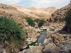 Oasis près de Jéricho dans le désert de Judée.