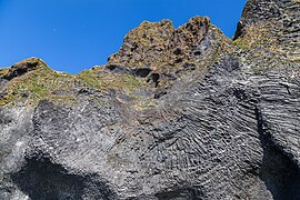 El Órgano, acantilado de Heimaey, Islas Vestman, Suðurland, Islandia, 2014-08-17, DD 039.jpg