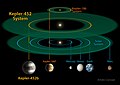 ケプラー452bとケプラー186fと水星、金星、地球、火星の大きさと軌道の比較。