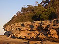 sandstone cliffs at Kurnell