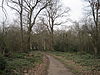 Scadbury Park