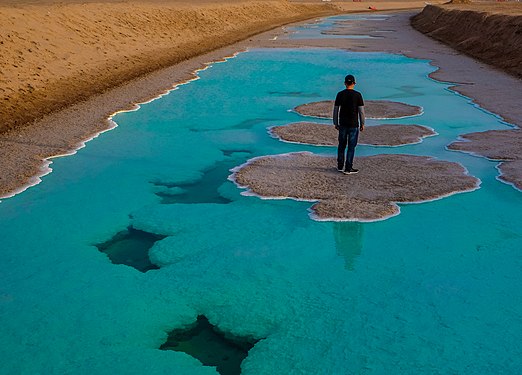 Al Wathba Wetland Reserve Photograph: Ronnie Altising