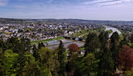 Mosel in Trier (DE)