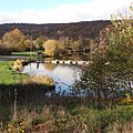 Mündung des Hurlebachs in den Vienenburger See