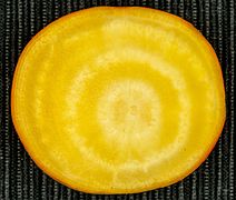 Inside of a yellow beet