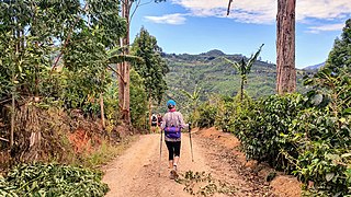 Camino de Costa Roca Coffee plantation hike.jpg