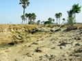 Ein Flussbett während der Trockenzeit