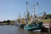 Garnalenkotters in de haven van Greetsiel