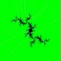 Julia set with external rays landing on period 3 orbit